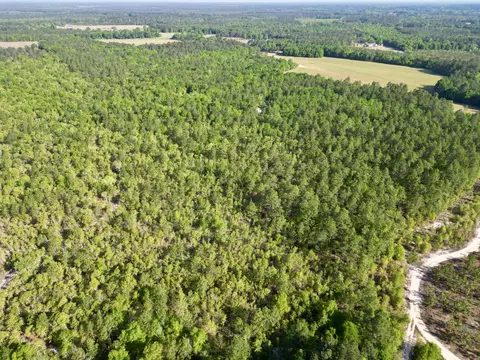 5095 Fellowship Rd, Williston, SC 29853 photo 22