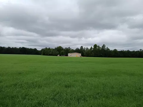 5095 Fellowship Rd, Williston, SC 29853 photo 29