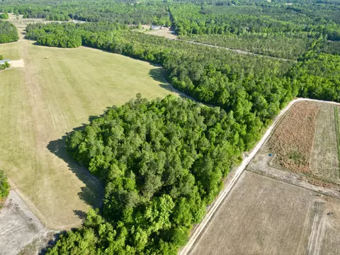 5095 Fellowship Rd, Williston, SC 29853 photo 23