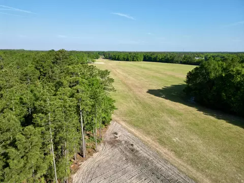 5095 Fellowship Rd, Williston, SC 29853 photo 21