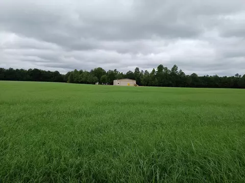 5095 Fellowship Rd, Williston, SC 29853 photo 31