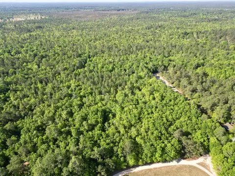 5095 Fellowship Rd, Williston, SC 29853 photo 19