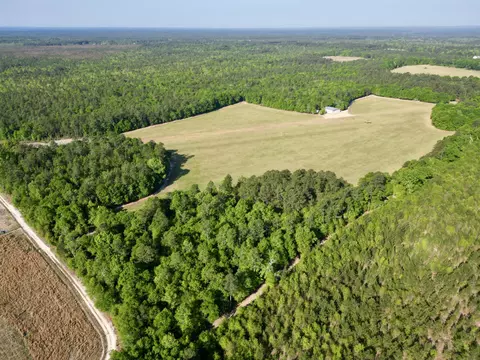 5095 Fellowship Rd, Williston, SC 29853 photo 2