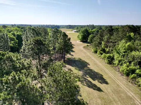 5095 Fellowship Rd, Williston, SC 29853 photo 20