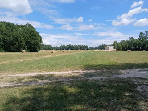 5095 Fellowship Rd, Williston, SC 29853 photo 34
