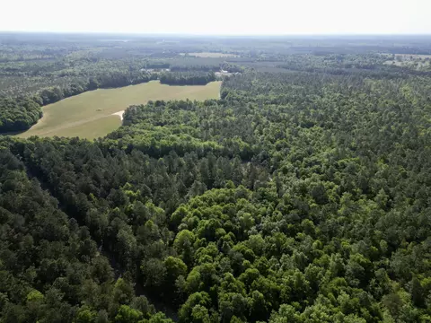 5095 Fellowship Rd, Williston, SC 29853 photo 18