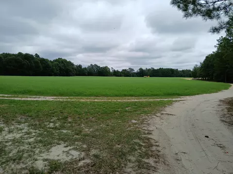5095 Fellowship Rd, Williston, SC 29853 photo 27