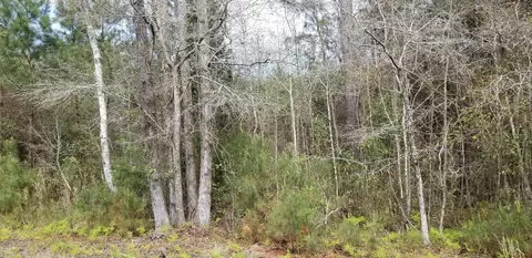 00 Randolph Dr #N/A, Smoaks, SC 29481