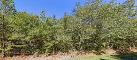 tbd New Meadow Dr, Reevesville, SC 29471