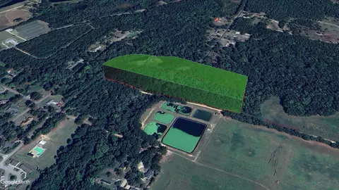0 Browning Rd, Elloree, SC 29047