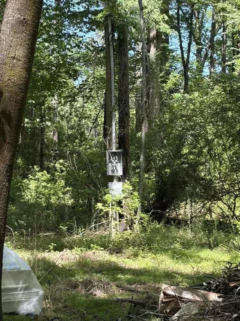 0 Thicket Ln, Saint Stephen, SC 29479 photo 5