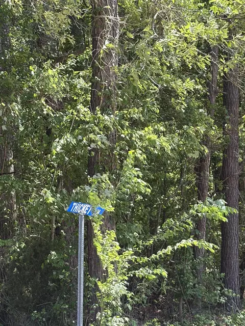 0 Thicket Ln, Saint Stephen, SC 29479