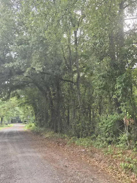 lot2 Rodenberry Rd, Cross, SC 29436