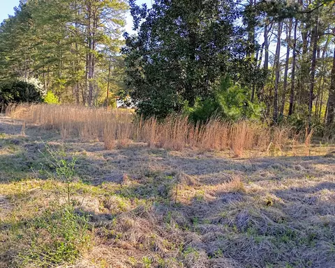 67 Cone Ct, Cottageville, SC 29435