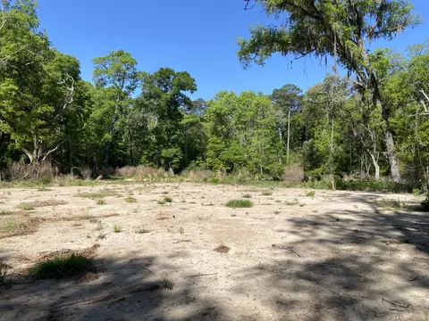 6079 Josie Ridge Rd, Wadmalaw Island, SC 29487
