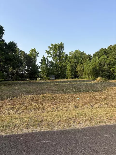 419 Old Bell Rd, Saint George, SC 29477