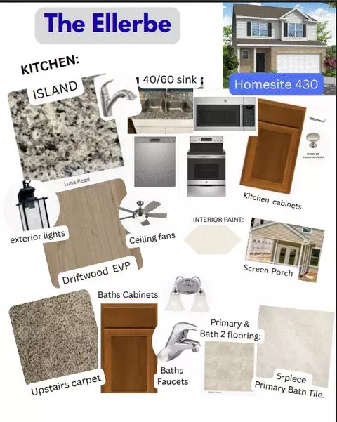 Kitchen - 353 Blue Oak Dr, Moncks Corner, SC 29461 photo 1 of 10