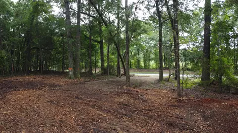 6 Francis Marion Blvd, Summerton, SC 29148