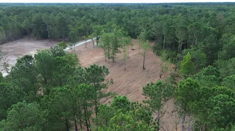 2 Trojan Rd, Cross, SC 29436 photo 15