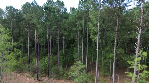 2 Trojan Rd, Cross, SC 29436 photo 17