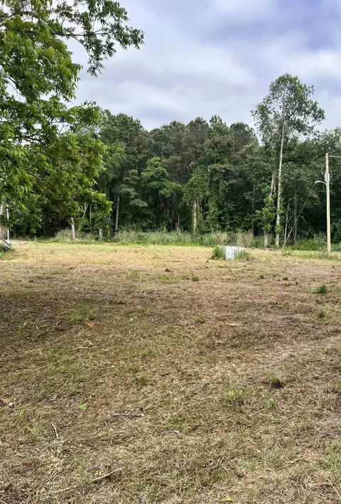 193 Evergreen Ln, Saint George, SC 29477