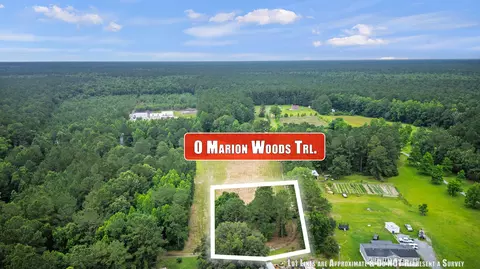 1 Marion Woods Trl, Bonneau, SC 29431