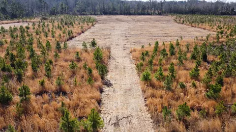 8 Highway 6, Cross, SC 29436