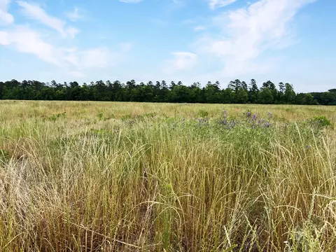 1 Us-15, Saint George, SC 29477
