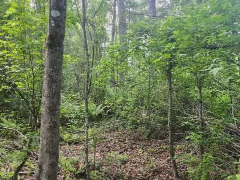 000 Broxton Bridge Rd, Bamberg, SC 29003