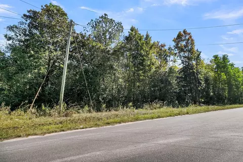 135 Jacob Piland Rd, Moncks Corner, SC 29461 photo 2
