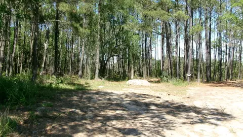 1108 Saint Thomas Island Dr, Wando, SC 29492
