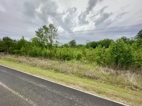 tbd Chewning Rd, Pinewood, SC 29125