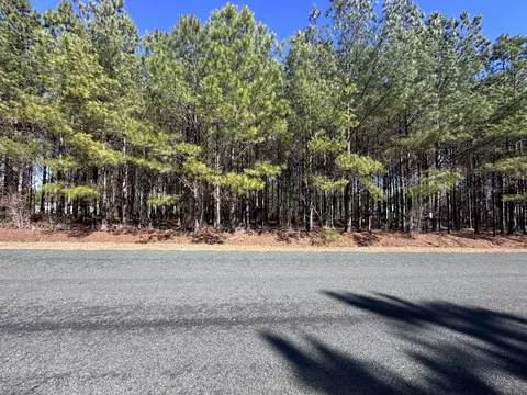00 Horses Neck Rd #LOT 17A, Swansea, SC 29160