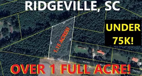 0 Way Hall Ln, Ridgeville, SC 29472