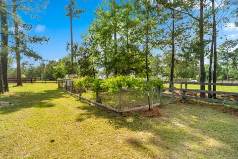 Exterior - 115 Chancing Bye Ln, Huger, SC 29450 photo 14 of 20
