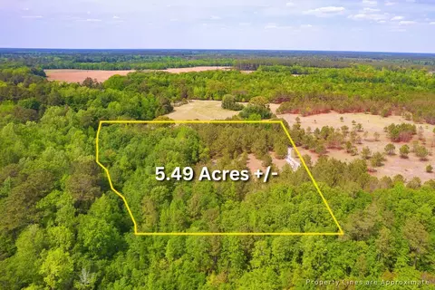 06 Pompey Rd, Manning, SC 29102