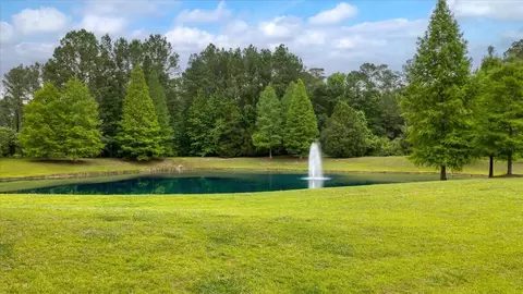 1205 Red Buckeye Ct, Moncks Corner, SC 29461