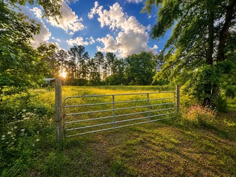 00 Fish Rd, Ridgeville, SC 29472