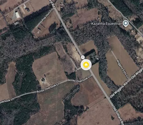 537 New Regenia Pl, Holly Hill, SC 29059
