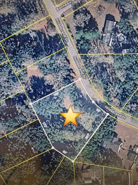 721 Hildebrand Dr, Bonneau, SC 29431