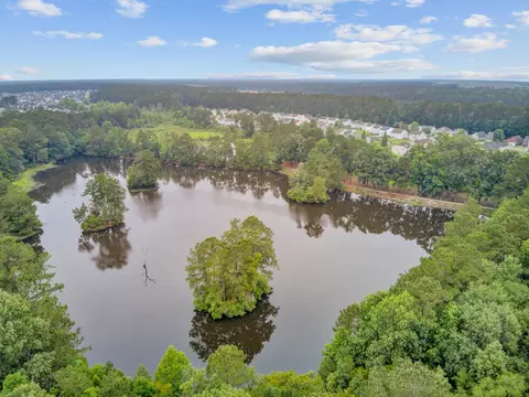 View/Area - 352 Herty Park Dr, Moncks Corner, SC 29461 photo 9 of 29