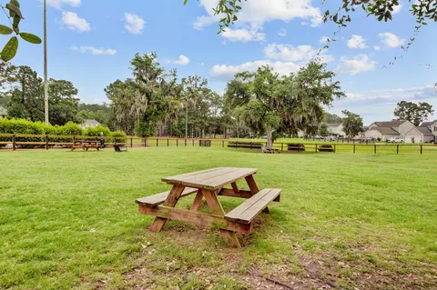 View/Area - 352 Herty Park Dr, Moncks Corner, SC 29461 photo 21 of 29
