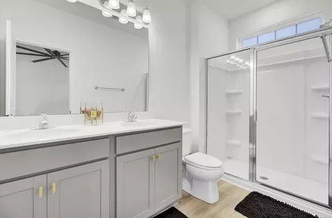 Bath - 352 Herty Park Dr, Moncks Corner, SC 29461 photo 3 of 4