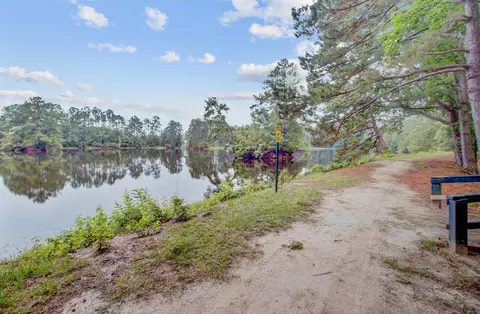 View/Area - 352 Herty Park Dr, Moncks Corner, SC 29461 photo 8 of 29