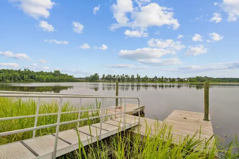 View/Area - 352 Herty Park Dr, Moncks Corner, SC 29461 photo 11 of 29