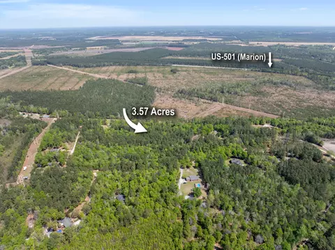 0 Forest Pl, Marion, SC 29571