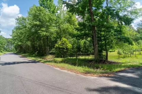 00 Deneaux Rd, Rowesville, SC 29133 photo 13