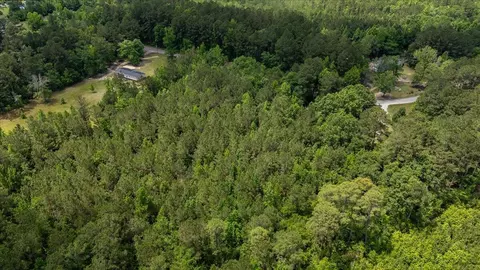 00 Deneaux Rd, Rowesville, SC 29133 photo 27
