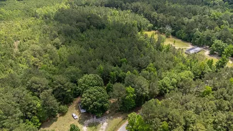 00 Deneaux Rd, Rowesville, SC 29133 photo 20