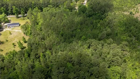 00 Deneaux Rd, Rowesville, SC 29133 photo 30